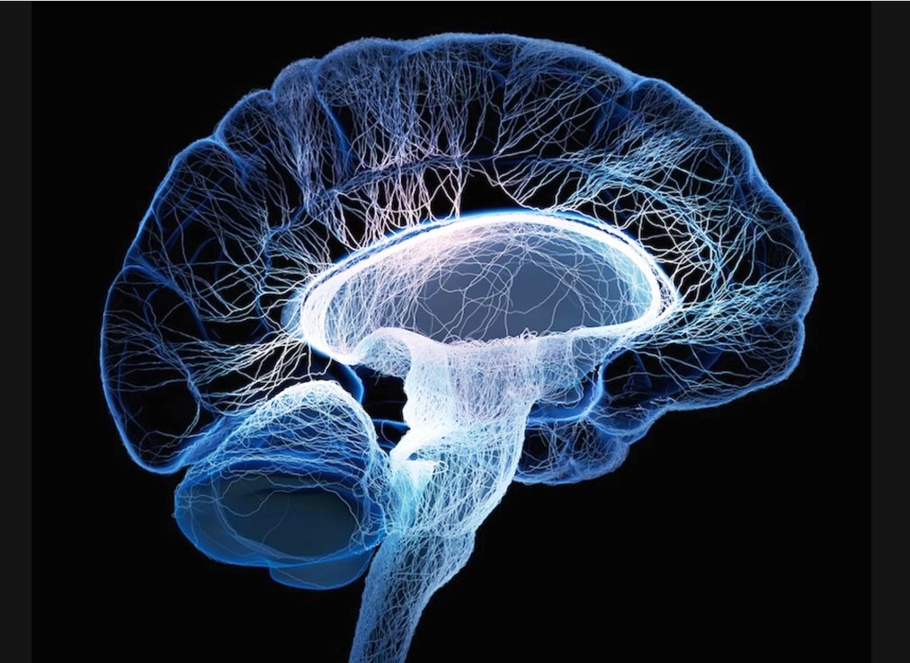 brain gist