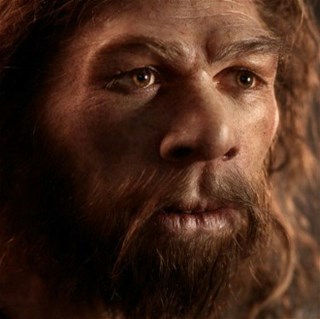 neandertal