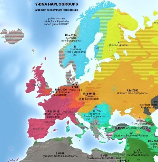 Haploskupiny v Európe